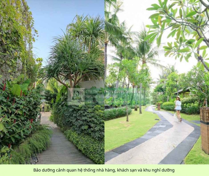 Chăm Sóc Cảnh Quan Chung Cư Cao Cấp Tại TP.HCM & Đồng Nai