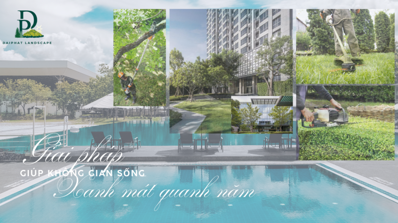 Chăm Sóc Cảnh Quan Chung Cư Cao Cấp Tại TP.HCM & Đồng Nai