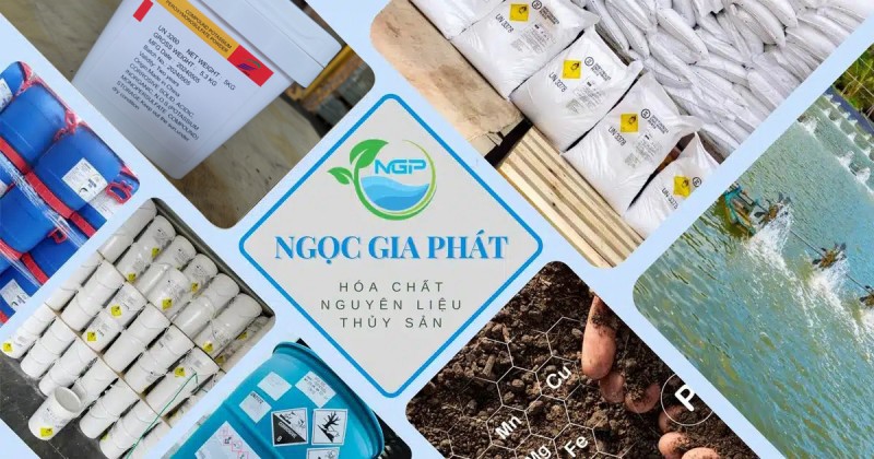 Ngọc Gia Phát – Phân phối nguyên liệu hóa chất thủy sản, chăn nuôi, thú y, phân bón