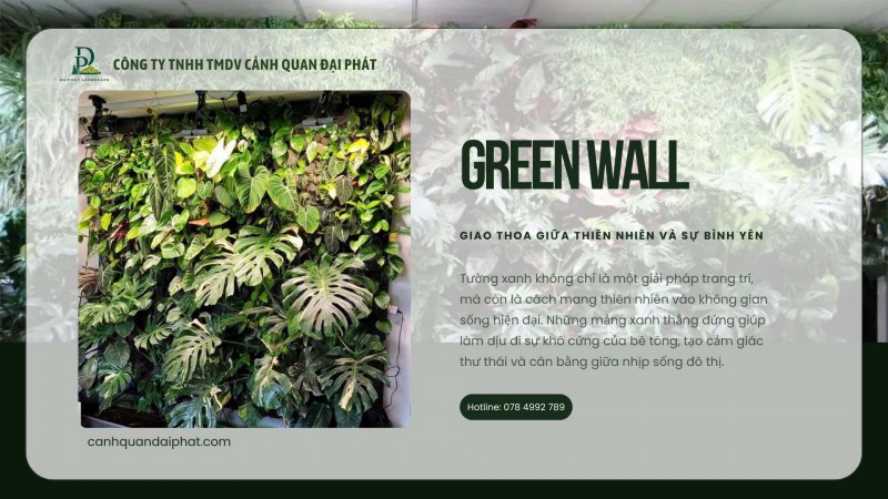 Dịch Vụ Thiết Kế & Thi Công Tường Xanh – Vườn Đứng Chuyên Nghiệp