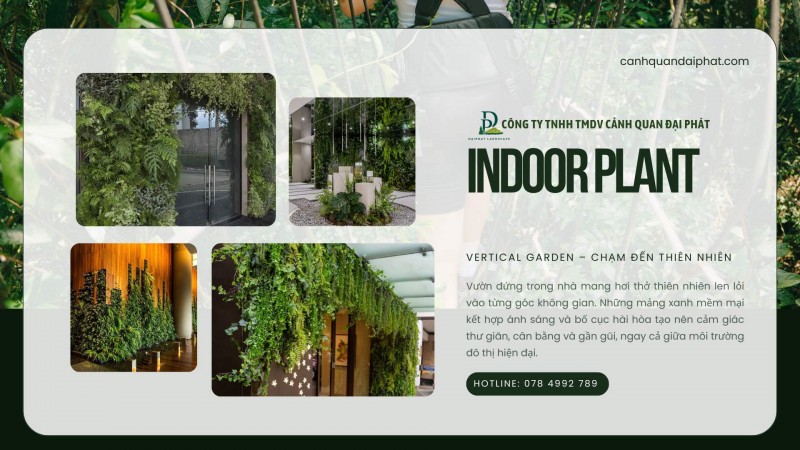 Dịch Vụ Thiết Kế & Thi Công Tường Xanh – Vườn Đứng Chuyên Nghiệp