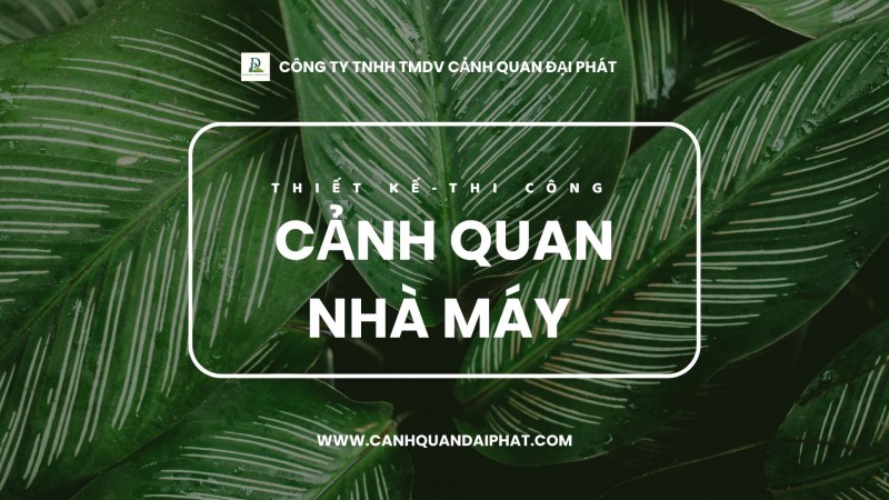 Thi công cảnh quan nhà máy Đồng Nai, TPHCM