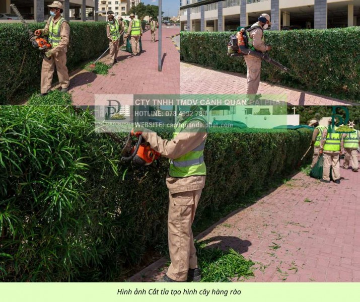 Đội ngũ Chăm sóc cảnh quan định kỳ Nhà máy Đồng Nai Chuyên nghiệp