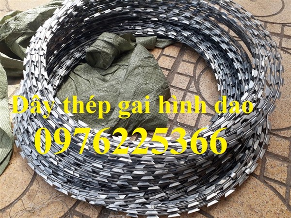 Dây kẽm gai inox 304 đường kính D30, D45, D50, D60, D80