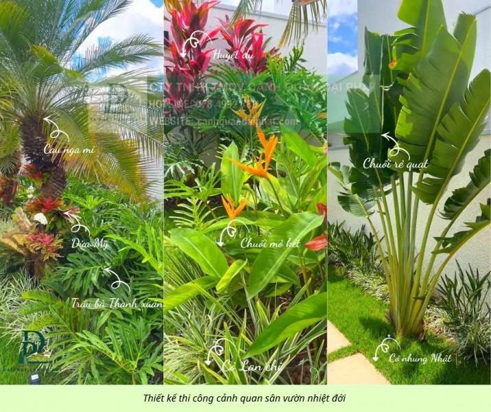 Thiết Kế Thi Công Cảnh Quan Sân Vườn Nhiệt Đới 2026