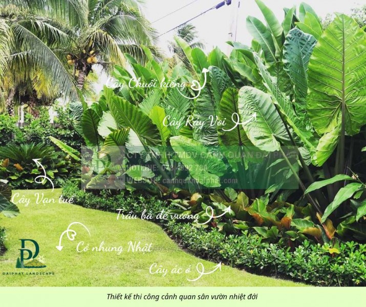 Thiết kế thi công cảnh quan sân vườn mới nhất 2026