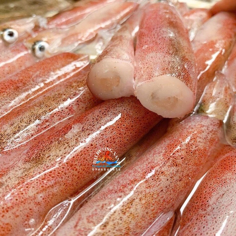 Cung Cấp Mực Trứng Tươi Và Đông Lạnh – Nên Chọn Loại Nào?