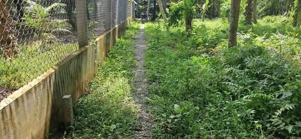 CẦN THANH LÝ GẤP LÔ ĐẤT THỔ CƯ GIÁ TỐT TẠI GIỒNG TRÔM