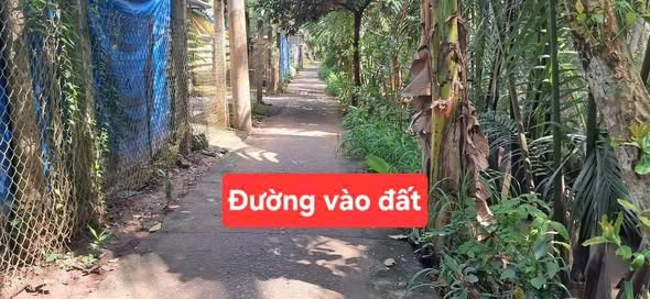 CẦN THANH LÝ GẤP LÔ ĐẤT THỔ CƯ GIÁ TỐT TẠI GIỒNG TRÔM