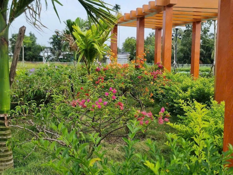 ĐẤT ĐẸP – GIÁ TỐT  – CHÍNH CHỦ CẦN BÁN Lk 8-38, Dự án Dic Hậu Giang - TP Vị Thanh