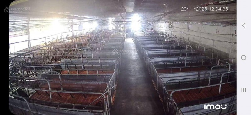 ĐẤT  ĐẸP- GIÁ TỐT- CẦN BÁN NHANH ĐẤT tại Xã Phúc Thọ, Lâm Hà, Lâm Đồng