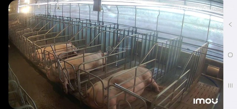 ĐẤT  ĐẸP- GIÁ TỐT- CẦN BÁN NHANH ĐẤT tại Xã Phúc Thọ, Lâm Hà, Lâm Đồng