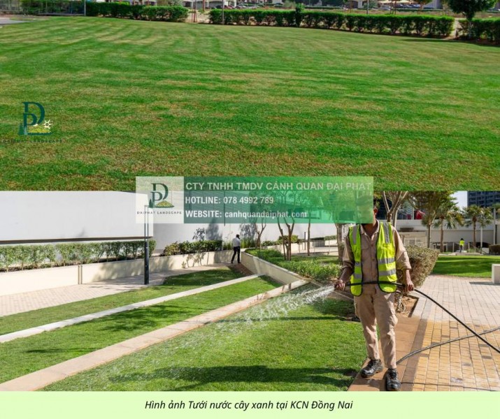Dịch vụ cắt cỏ – cắt tỉa cây xanh nhà máy KCN Long Thành, Đồng Nai