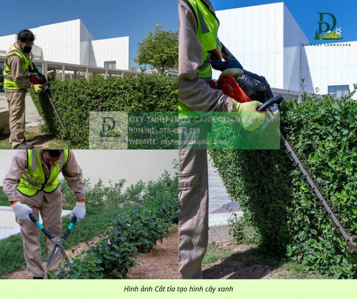 Dịch vụ cắt cỏ – cắt tỉa cây xanh định kỳ giá rẻ KCN Long Đức, Đồng Nai