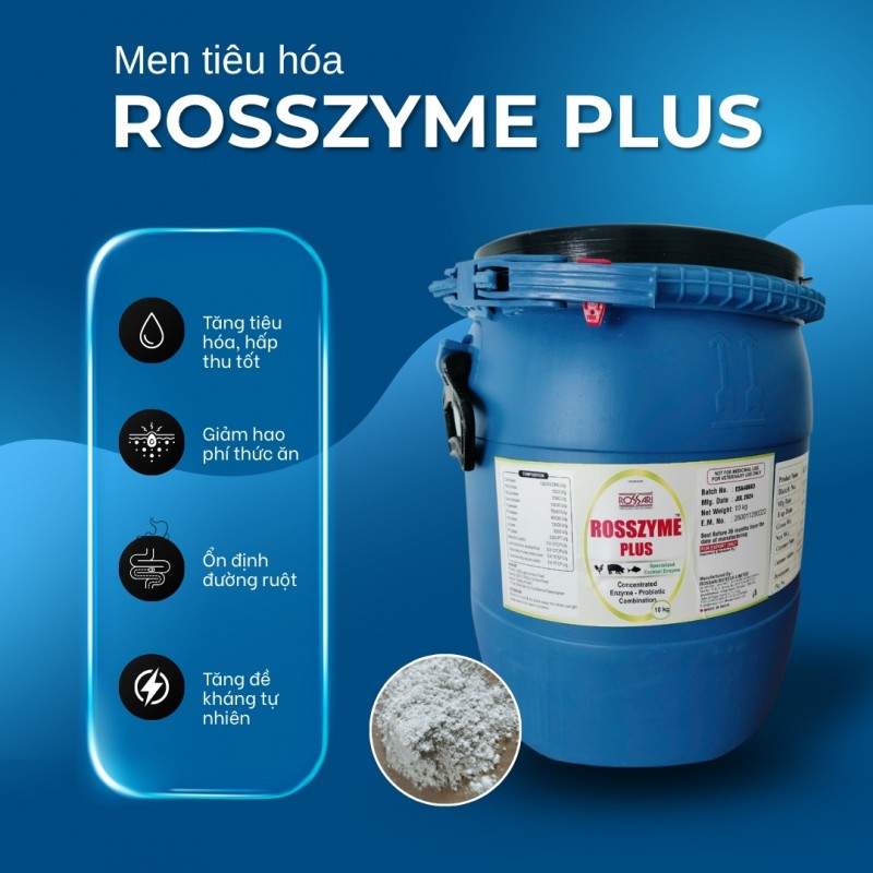 MEN TIÊU HÓA ROSSZYME PLUS