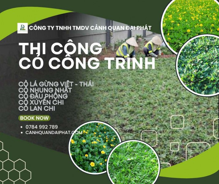  Thi công cỏ công trình chuyên nghiệp – đa dạng chủng loại, phủ xanh bền đẹp