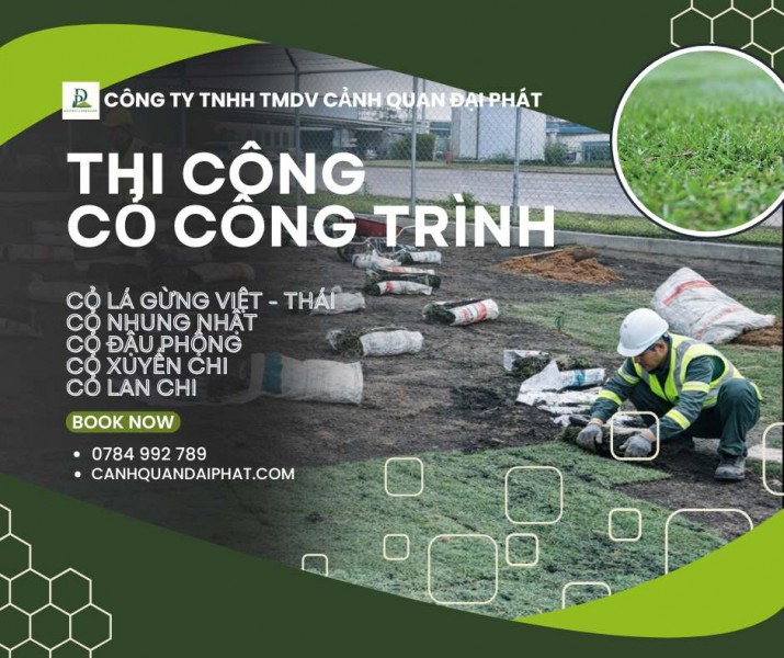  Thi công cỏ công trình chuyên nghiệp – đa dạng chủng loại, phủ xanh bền đẹp