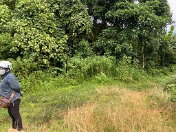 ► BÁN 1.8HA ĐẤT NÔNG NGHIỆP – CÓ SẴN DÒNG TIỀN 500TR/NĂM