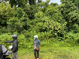 ► BÁN 1.8HA ĐẤT NÔNG NGHIỆP – CÓ SẴN DÒNG TIỀN 500TR/NĂM