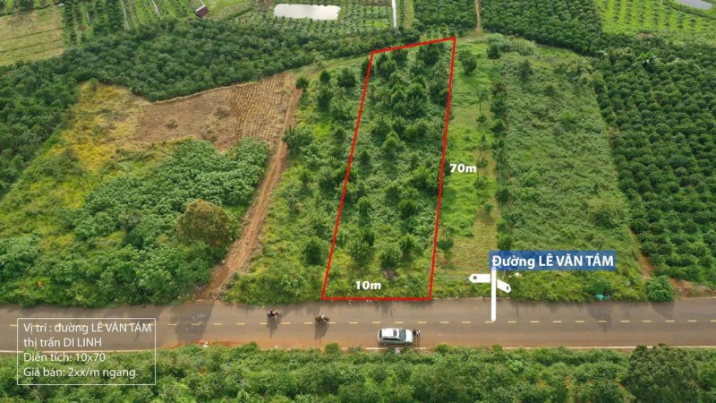BÁN ĐẤT MẶT TIỀN LÊ VĂN TÁM – DI LINH, LÂM ĐỒNG - 700m2 GIÁ CHỈ 2 TỶ 500 TRIỆU