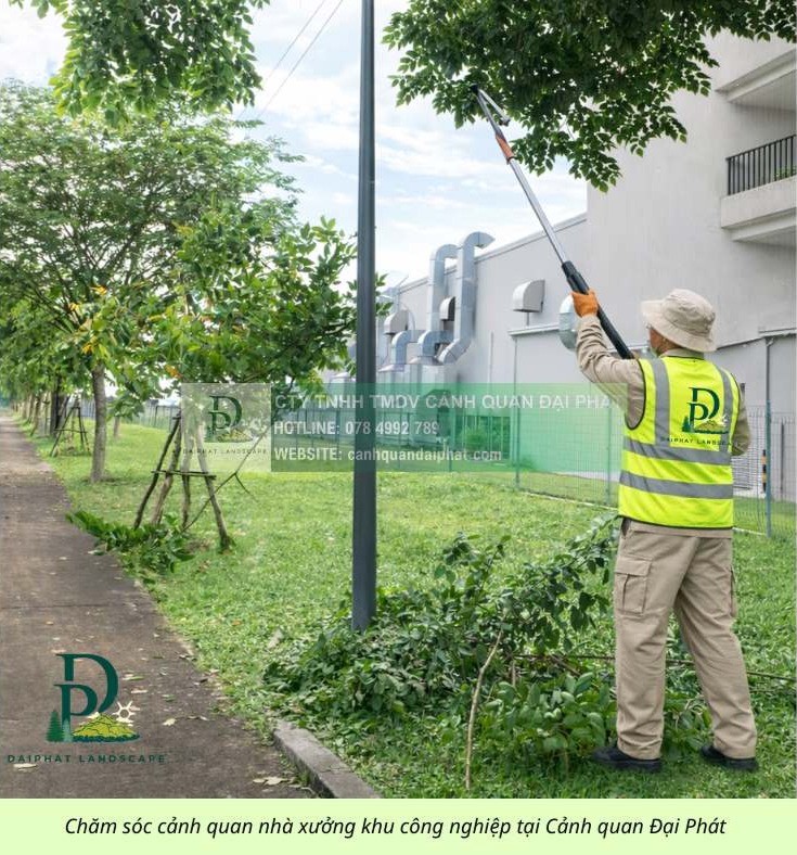 DỊCH VỤ CẮT CỎ & VỆ SINH CẢNH QUAN KCN LONG THÀNH – ĐỒNG NAI