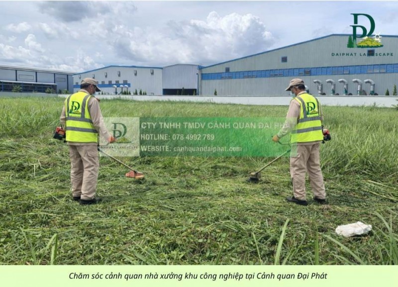 DỊCH VỤ CẮT CỎ & VỆ SINH CẢNH QUAN KCN LONG THÀNH – ĐỒNG NAI