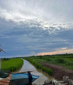 Chính chủ cần bán 2,6 mẫu đất ruộng nuôi quảng canh xen lúa