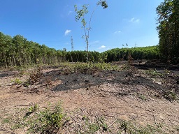 ĐẤT TRANG TRẠI VIEW ĐẸP – HÒA NHƠN, HÒA VANG, ĐÀ NẴNG