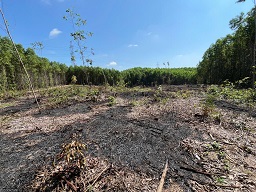 ĐẤT TRANG TRẠI VIEW ĐẸP – HÒA NHƠN, HÒA VANG, ĐÀ NẴNG