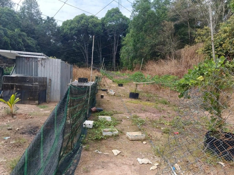 ĐẤT VÀNG CỦ CHI – SÁT ĐỊA ĐẠO BẾN ĐÌNH – ĐÓN ĐẦU 2 DỰ ÁN LỚN