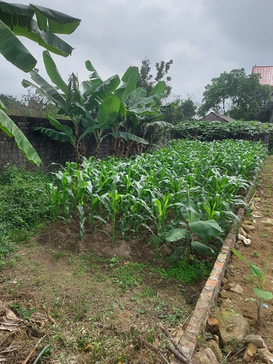 ► CẦN BÁN LÔ ĐẤT NGỌC THÀNH 2 – HOÀNG VÂN, BẮC NINH