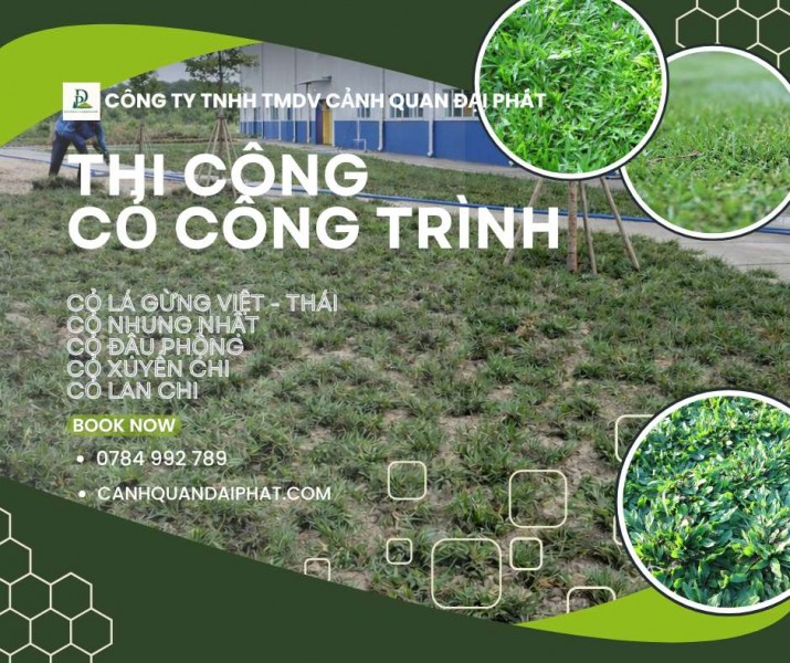 Trồng Cỏ lá gừng – Cỏ nhung Nhật tại KCN Long Đức, Long Thành, Nhơn Trạch,…