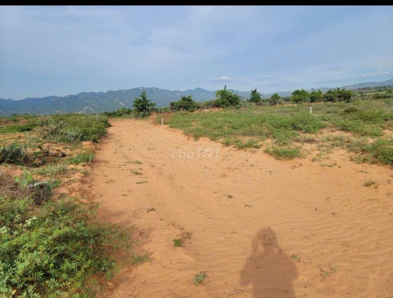 CHÍNH CHỦ BÁN ĐẤT ĐẸP ĐẦU TƯ NGHỈ DƯỠNG & SINH LỜI TẠI  Xã Phước Định, Thuận Nam