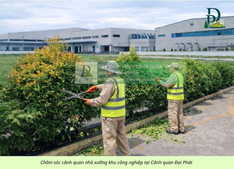 DỊCH VỤ CẮT CỎ – VỆ SINH CẢNH QUAN KCN AMATA, KCN BIÊN HÒA ĐỒNG NAI