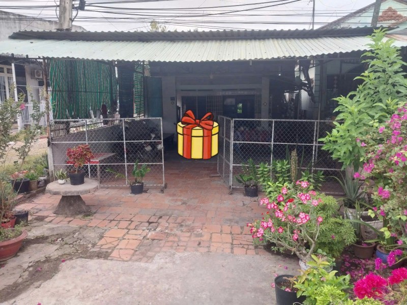 ĐẤT ĐẸP – GIÁ TỐT  – CHÍNH CHỦ CẦN BÁN 2 Lô Đất Tại Ấp Bình Trung, Xã Bình Minh, Tp Tây Ninh, Tây