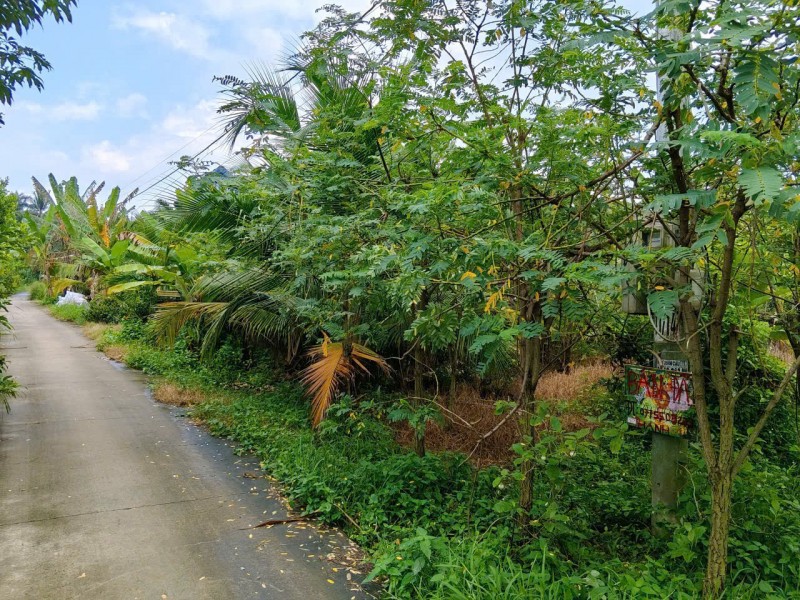 CHÍNH CHỦ CẦN BÁN ĐẤT CÓ VỊ TRÍ ĐEP -tại KCN LONG GIANG  - XÃ TÂN LÝ ĐÔNG - H.CHÂU THÀNH - TIỀN