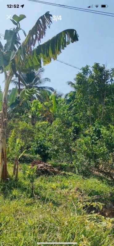 CHÍNH CHỦ CẦN BÁN ĐẤT CÓ VỊ TRÍ ĐEP -tại KCN LONG GIANG  - XÃ TÂN LÝ ĐÔNG - H.CHÂU THÀNH - TIỀN