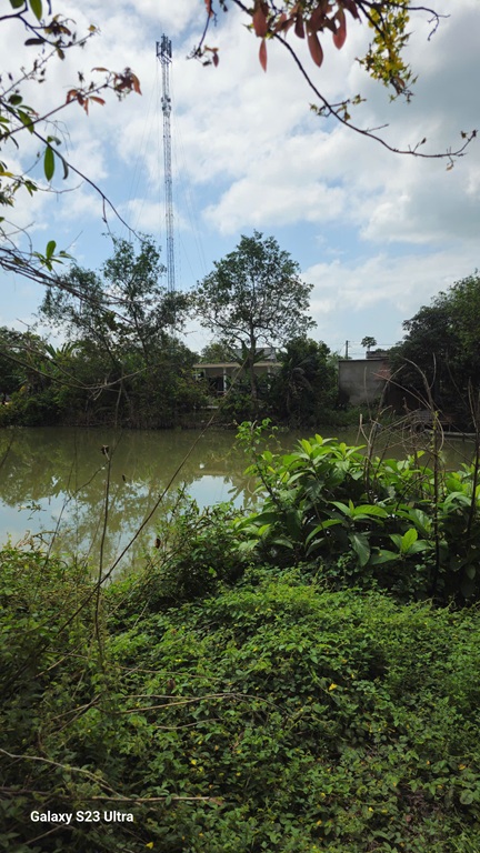 BÁN ĐẤT CHÍNH CHỦ - MẶT TIỀN Đường QL 30 Nguyễn Trãi, Ấp Mỹ Thuận, Xã Mỹ Thọ, Đồng Tháp