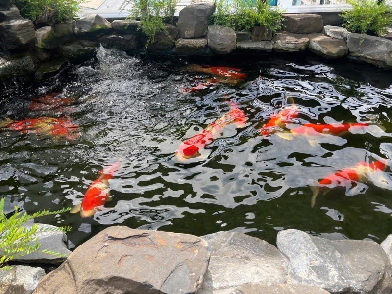 BÁN BIỆT THỰ 2 MẶT TIỀN PHÚ MỸ HƯNG - TÂN MỸ QUẬN 7 - CHÍNH CHỦ: GIANG GIANG: 093.86.76.685