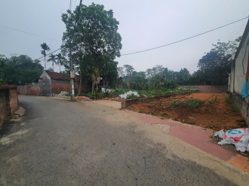 Sở hữu lô đất đẹp 164m² tại thôn 4 Phú Cát, Quốc Oai - Vị trí phát triển mạnh nhất khu vực