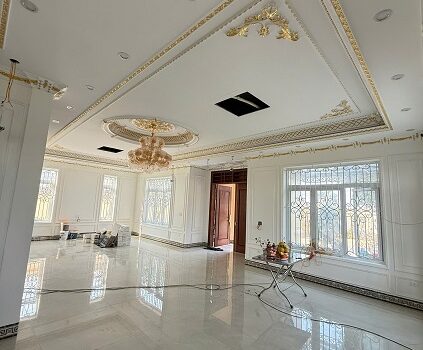 Chủ cần bán biệt thự nhà vườn mới 100%, chưa lắp đặt nội thất tại Vũ Thư, Thái Bình cũ