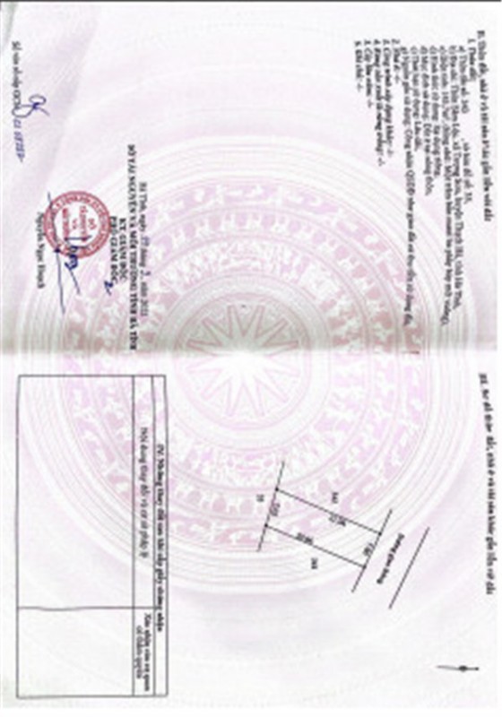 ĐẤT ĐẸP – GIÁ TỐT  – CHÍNH CHỦ CẦN BÁN 2 Lô Đất Tại Xã Tượng Sơn, Huyện Thạch Hà, Hà Tĩnh