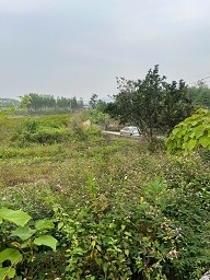 ► ĐẤT ĐẸP TÂN AN – CƯƠNG SƠN – LỤC NAM GIÁ CHỈ 480 TRIỆU