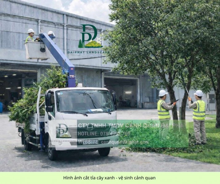 Dịch vụ chăm sóc cây xanh định kỳ cho công ty nhà xưởng 2 3 lần/tuần