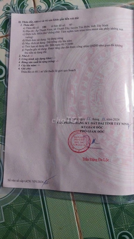 Chính Chủ Cần Bán Đất Trông Cao Su Lâu Năm Đường Số 46, Xã Thạnh Tây, Huyện Tân Biên, Tây Ninh