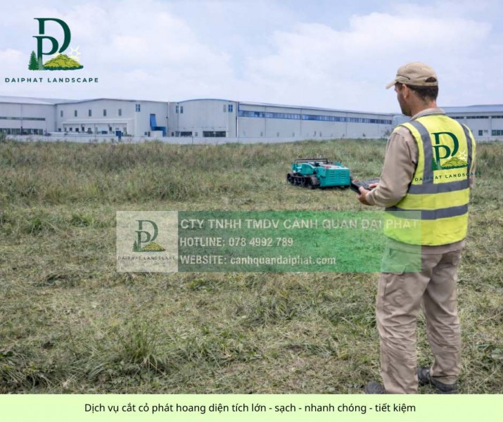 Dịch vụ cắt cỏ phát hoang diện tích lớn giá cạnh tranh miền Nam