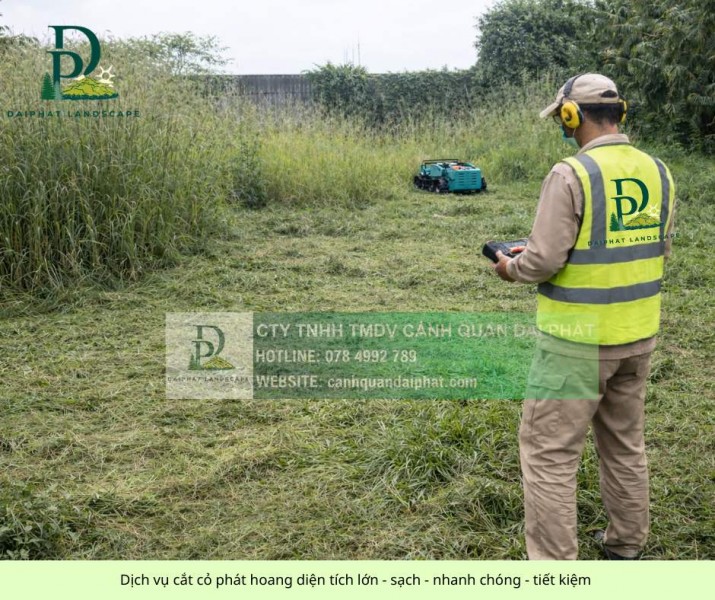 Dịch vụ cắt cỏ phát hoang diện tích lớn giá cạnh tranh miền Nam