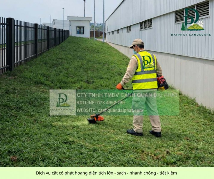 Dịch vụ cắt cỏ phát hoang diện tích lớn giá cạnh tranh miền Nam