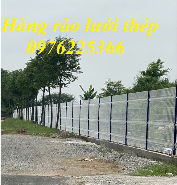 Cung cấp lưới hàng rào thép hàn D4, D5, D6, D8