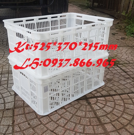 Sóng hở( sọt nguyên sinh), khay nhựa rỗng